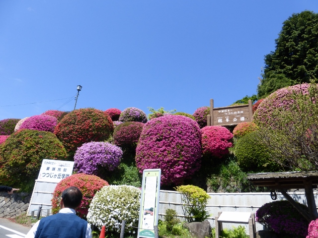 b0138430_10145367.jpg