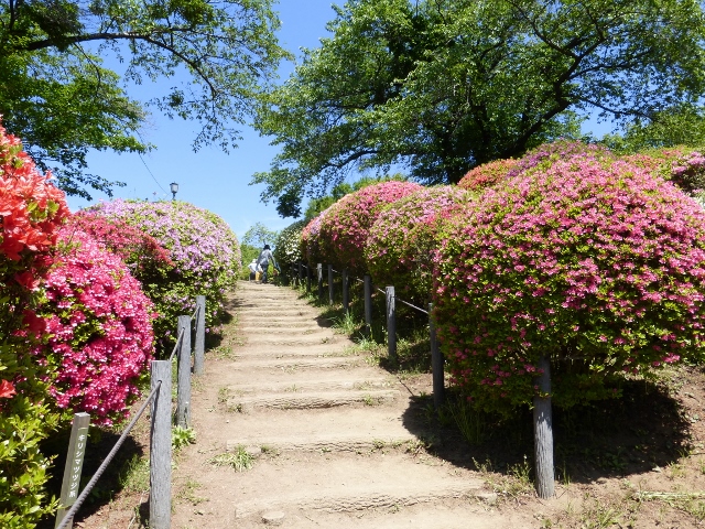 b0138430_10184047.jpg