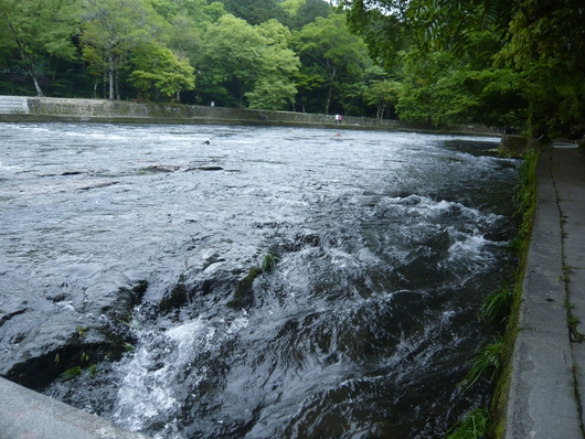 a0206332_8312613.jpg