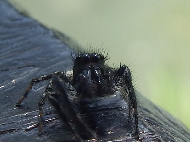 f0118332_23324954.jpg