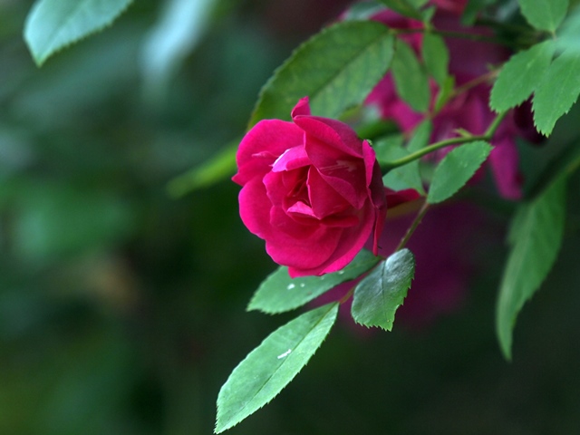 f0342436_11535128.jpg