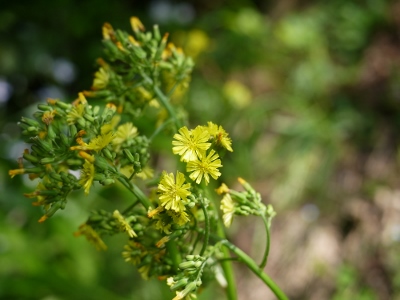 e0325038_2101961.jpg