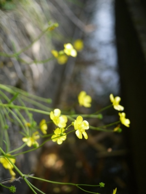 e0325038_21101929.jpg