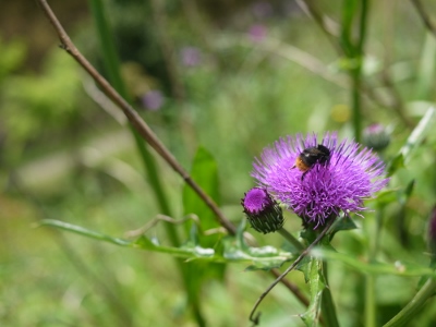 e0325038_211345.jpg