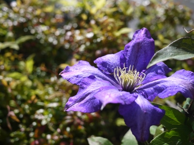 e0325038_21185157.jpg