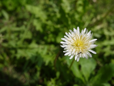 e0325038_2123173.jpg