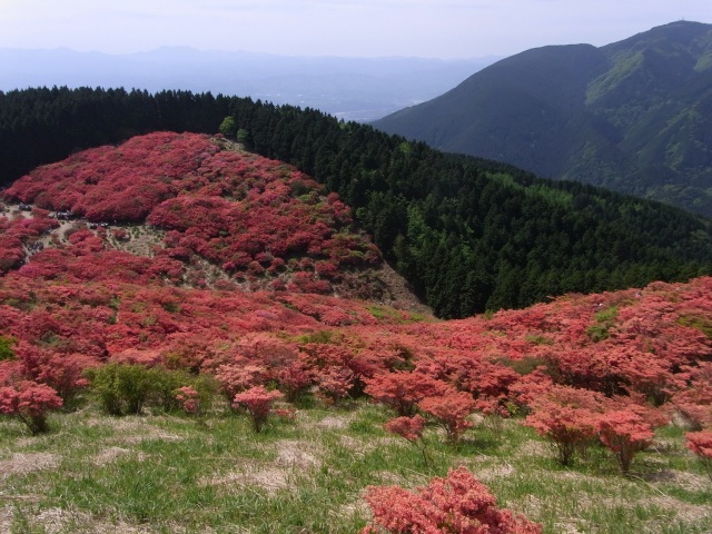 b0017844_00105588.jpg