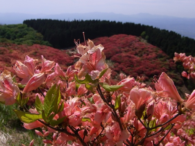 b0017844_00111856.jpg
