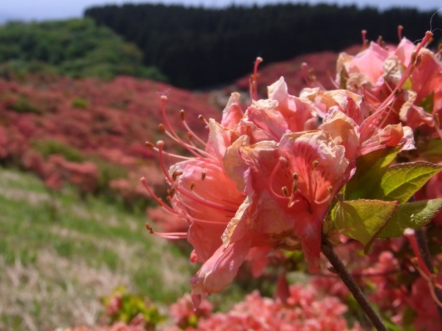 b0017844_00124350.jpg