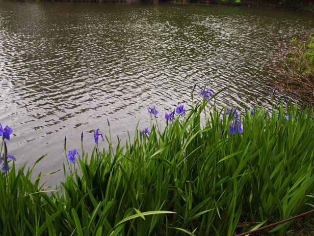 d0319745_9384634.jpg