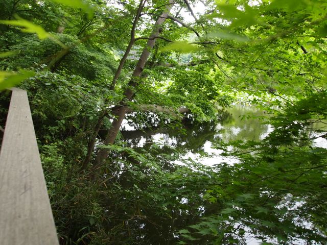 d0319745_939938.jpg