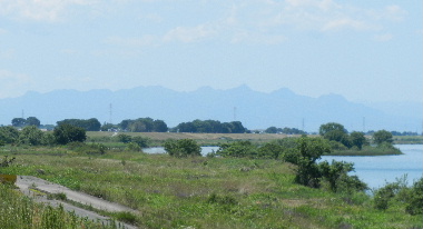 e0172950_20555766.jpg