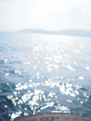 e0014553_15115875.jpg