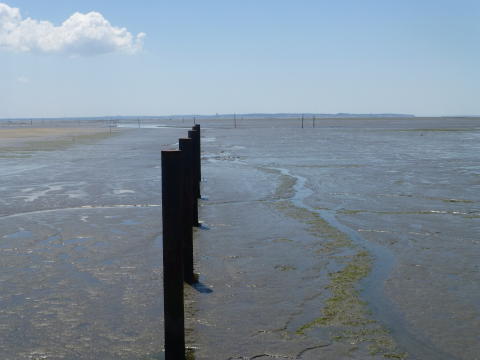 b0296855_21481367.jpg