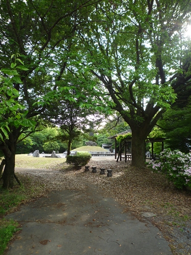 c0222861_20502986.jpg
