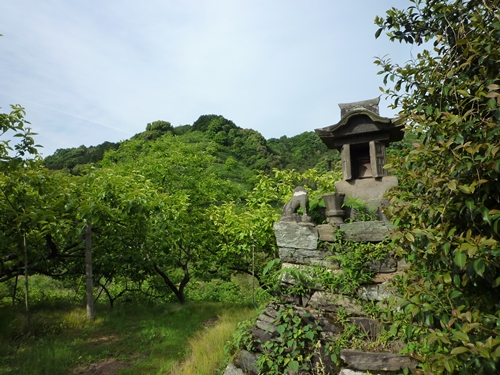 c0222861_20552238.jpg