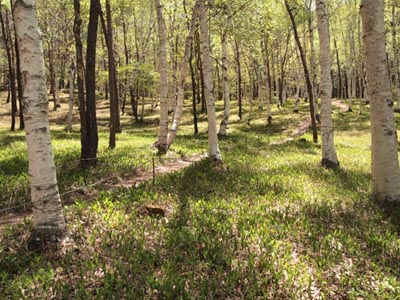 c0011862_14283969.jpg