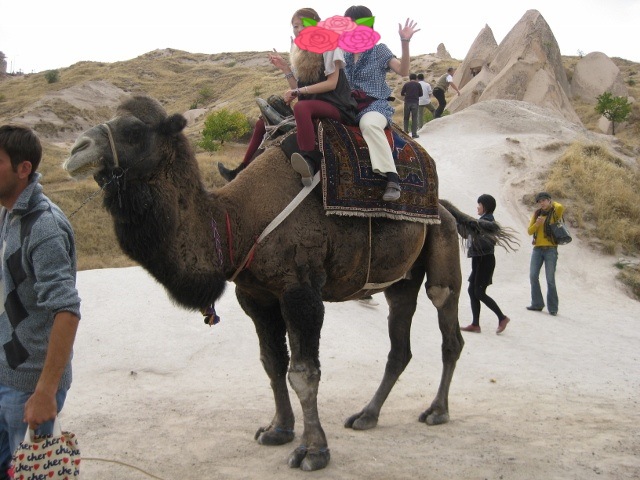 f0345263_22593661.jpg