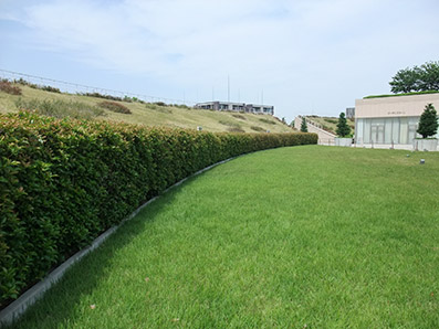 b0059664_18175641.jpg