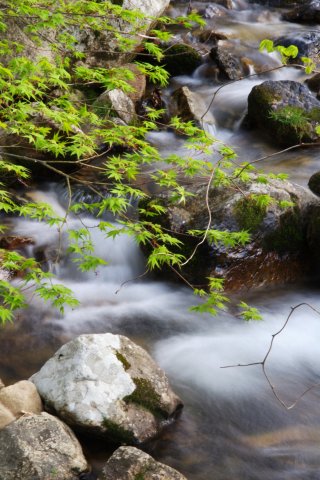 e0045768_22381162.jpg