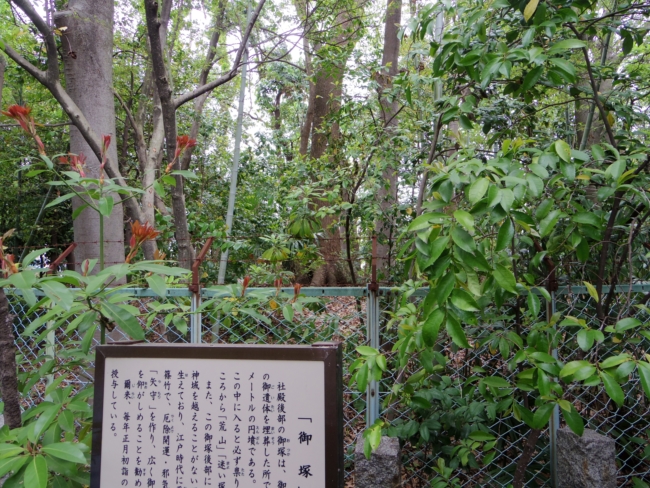 d0031171_7411161.jpg