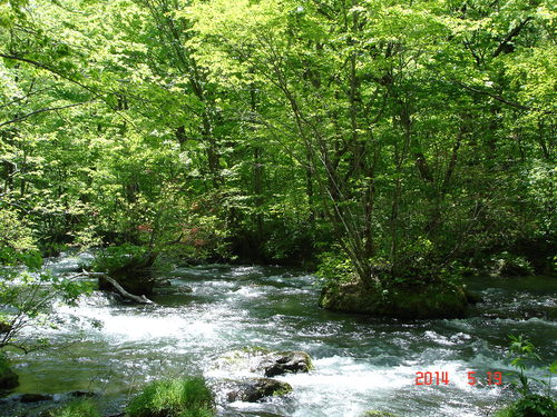 d0165378_1523739.jpg