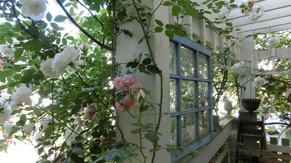 f0166982_7253394.jpg