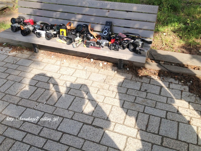 e0148083_10125728.jpg