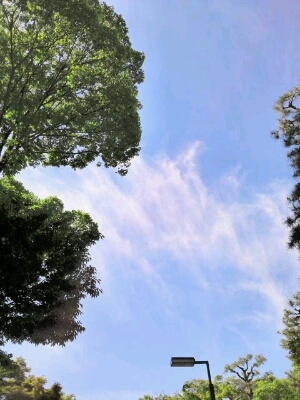 b0163088_8152074.jpg