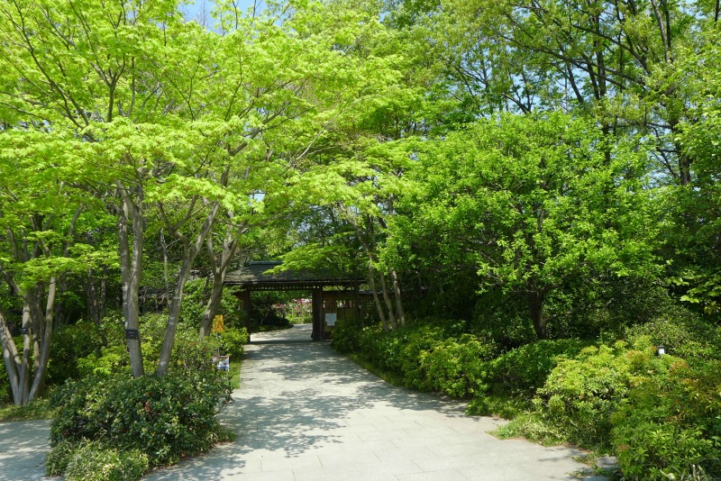 a0127090_19483559.jpg