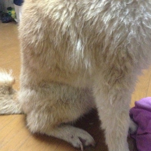 c0123890_20491339.jpg