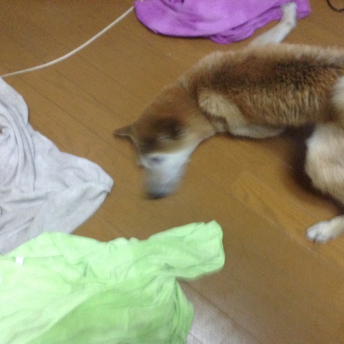 c0123890_20495930.jpg
