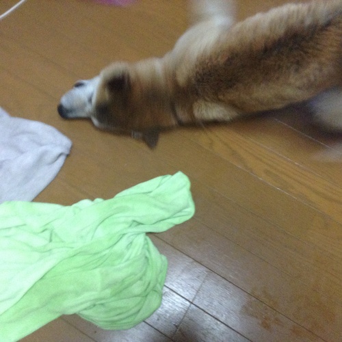c0123890_20501756.jpg