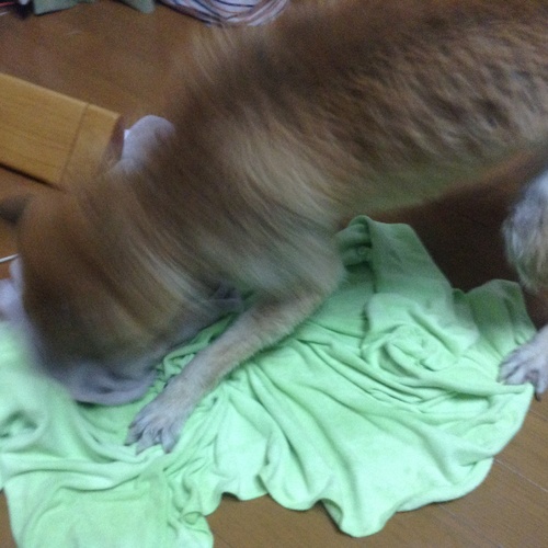c0123890_20503783.jpg