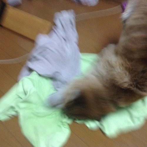 c0123890_2051625.jpg