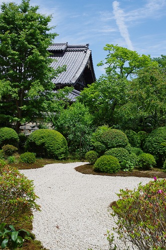 b0119493_2515810.jpg