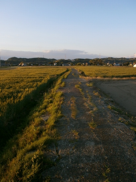 d0000995_2233248.jpg