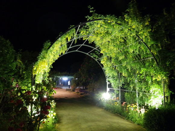 f0307097_0452100.jpg