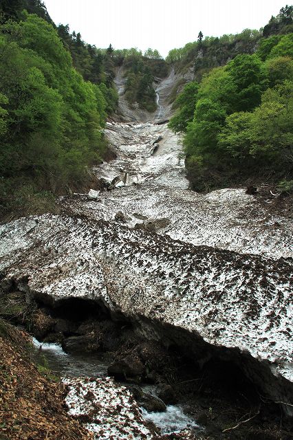 e0137200_20484395.jpg