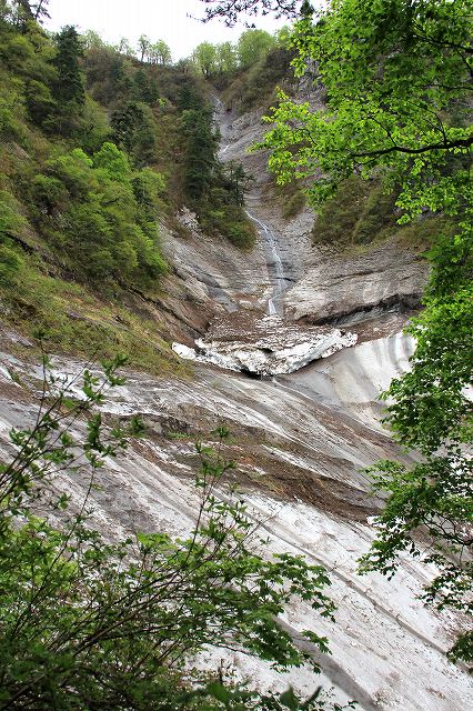 e0137200_20492734.jpg