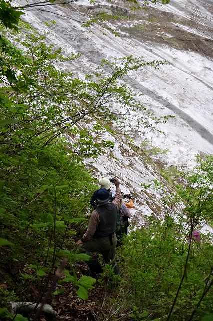 e0137200_20494056.jpg