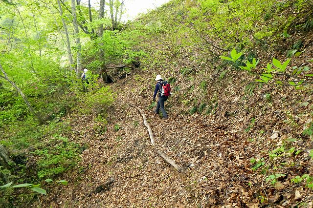 e0137200_2049534.jpg