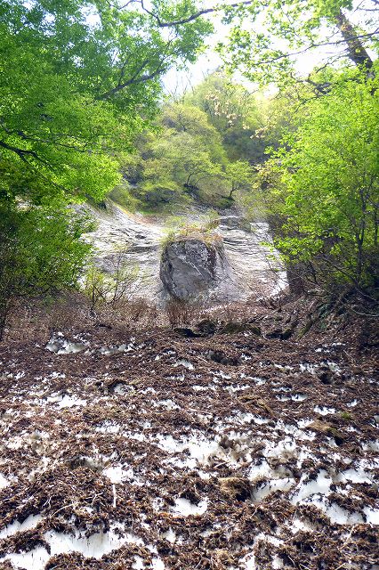 e0137200_20522939.jpg