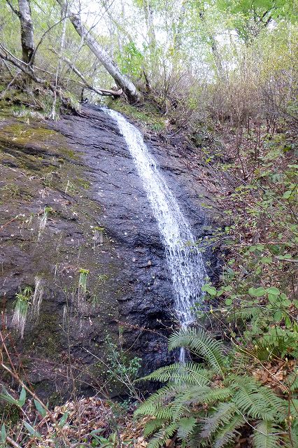 e0137200_20571043.jpg