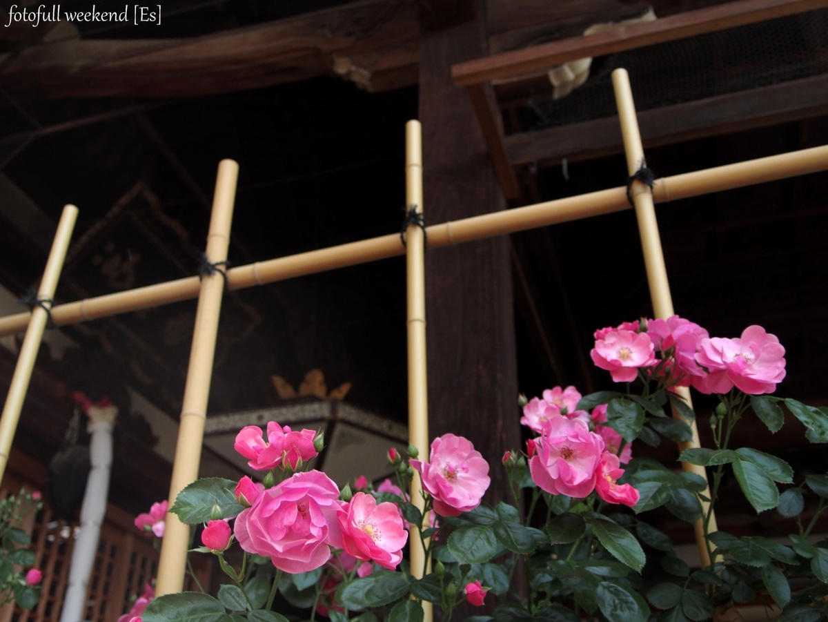b0138101_2131775.jpg