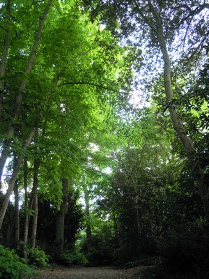 e0206902_6554216.jpg