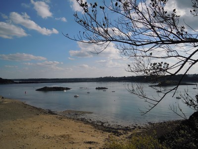 e0206902_6565396.jpg