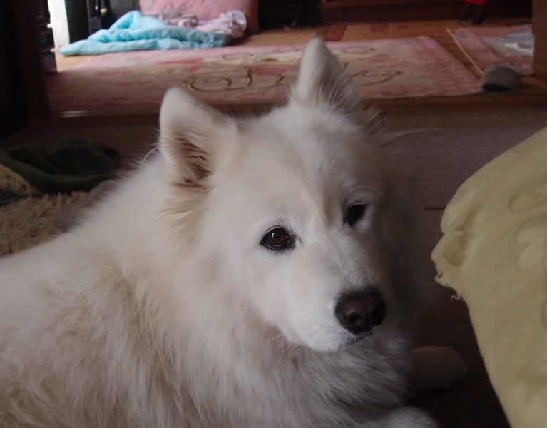 e0018604_16150960.jpg