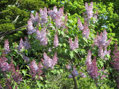e0242504_20591339.jpg