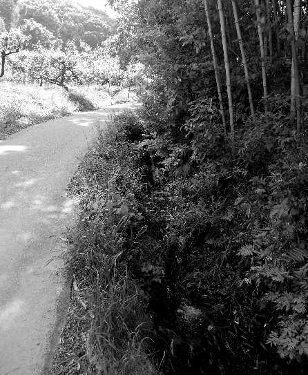 d0140806_1331813.jpg